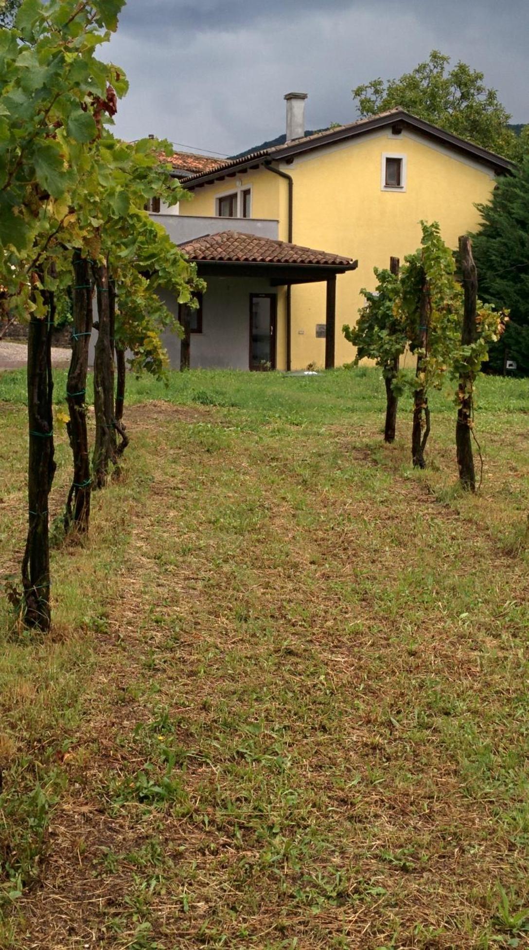 Small House In Vipava Valley Esterno foto