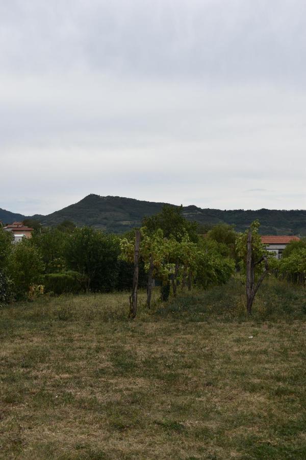 Small House In Vipava Valley Esterno foto